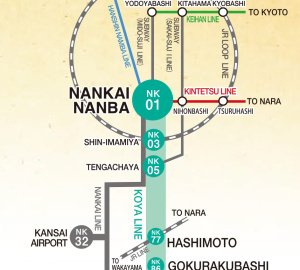 Visit Koya Ticket (depuis Osaka-Namba)