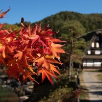Accompagnement Keikaku Japon novembre 2019 - 1