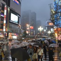 Accompagnement Keikaku Japon octobre 2017 - 1