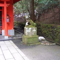 Accompagnement Keikaku Japon février 2024 - 3