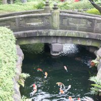 Accompagnement Keikaku Japon février 2017 - 1