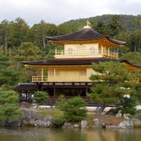 Accompagnement Keikaku Japon janvier 2024 - 1