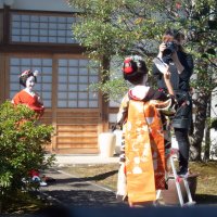 Accompagnement Keikaku Japon novembre 2019 - 2