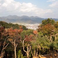 Accompagnement Keikaku Japon novembre 2019 - 3