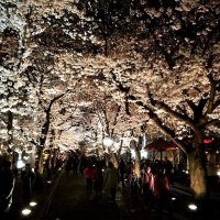 Accompagnement Keikaku Japon avril 2016 - 3