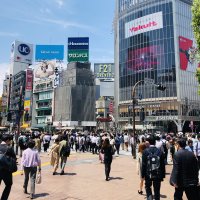 Accompagnement Keikaku Japon juillet 2019 - 1