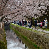 Accompagnement Keikaku Japon avril 2017 - 1