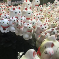 Accompagnement Keikaku Japon août 2019 - 3