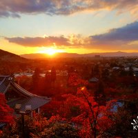 Accompagnement Keikaku Japon décembre 2017 - 1