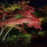Accompagnement Keikaku Japon décembre 2017 - 2