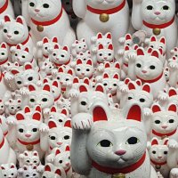Accompagnement Keikaku Japon avril 2018 - 1