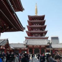 Accompagnement Keikaku Japon avril 2019 - 1