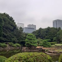 Accompagnement Keikaku Japon septembre 2019 - 1