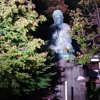 Accompagnement Keikaku Japon octobre 2019 - 1