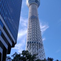 Accompagnement Keikaku Japon novembre 2019 - 1
