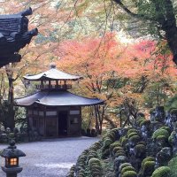 Accompagnement Keikaku Japon décembre 2019 - 1