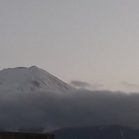 Accompagnement Keikaku Japon mai 2020 - 2