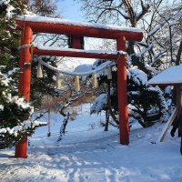 Accompagnement Keikaku Japon janvier 2023 - 1