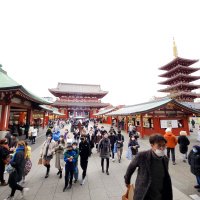 Accompagnement Keikaku Japon février 2023 - 1
