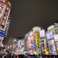 Accompagnement Keikaku Japon février 2023 - 3