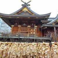 Accompagnement Keikaku Japon février 2023 - 2