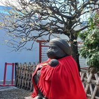 Accompagnement Keikaku Japon mars 2023 - 1