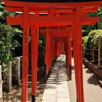 Accompagnement Keikaku Japon mai 2023 - 2