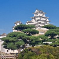 Accompagnement Keikaku Japon octobre 2023 - 2