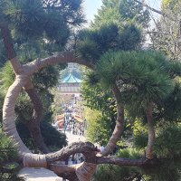 Accompagnement Keikaku Japon novembre 2023 - 1