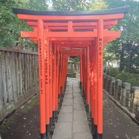 Accompagnement Keikaku Japon novembre 2023 - 2
