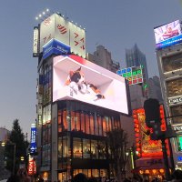 Accompagnement Keikaku Japon novembre 2023 - 3