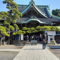 Accompagnement Keikaku Japon décembre 2023 - 1