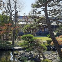 Accompagnement Keikaku Japon décembre 2023 - 2