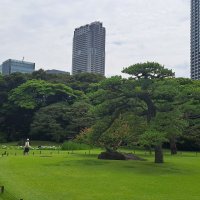Accompagnement Keikaku Japon juin 2024 - 3