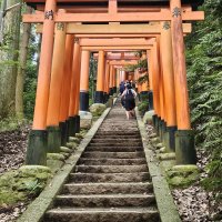 Accompagnement Keikaku Japon juillet 2024 - 1