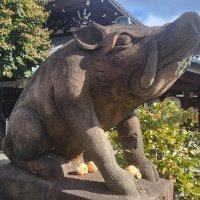 Accompagnement Keikaku Japon février 2025 - 1