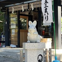 Accompagnement Keikaku Japon novembre 2022 - 2
