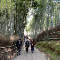 Accompagnement Keikaku Japon mars 2020 - 1