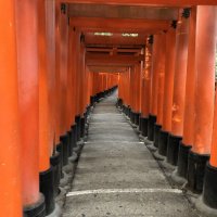 Accompagnement Keikaku Japon octobre 2019 - 1