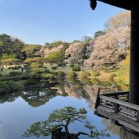 Accompagnement Keikaku Japon mai 2023 - 1