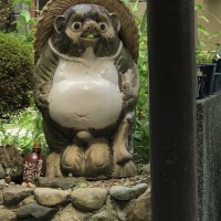 Accompagnement Keikaku Japon août 2018 - 1