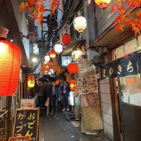 Accompagnement Keikaku Japon novembre 2023 - 3