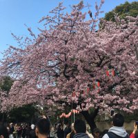 Accompagnement Keikaku Japon mars 2019 - 1