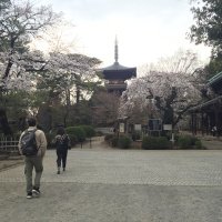 Accompagnement Keikaku Japon mai 2019 - 2