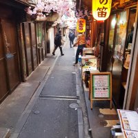 Accompagnement Keikaku Japon mars 2020 - 1