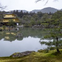 Accompagnement Keikaku Japon mars 2017 - 1