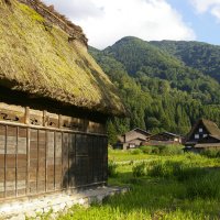 Accompagnement Keikaku Japon août 2020 - 1