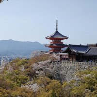 Accompagnement Keikaku Japon juin 2025 - 3