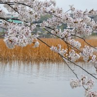 Accompagnement Keikaku Japon juin 2019 - 1
