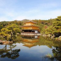 Accompagnement Keikaku Japon novembre 2018 - 1